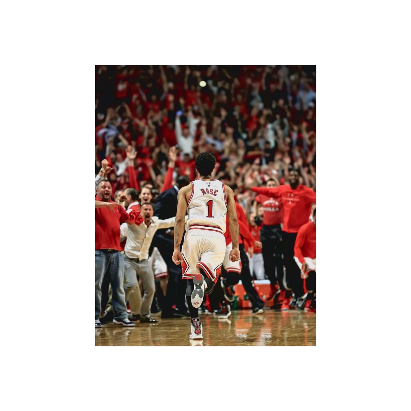 D ROSE POSTER