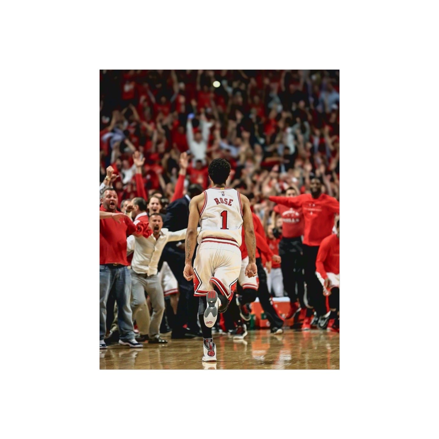 D ROSE POSTER