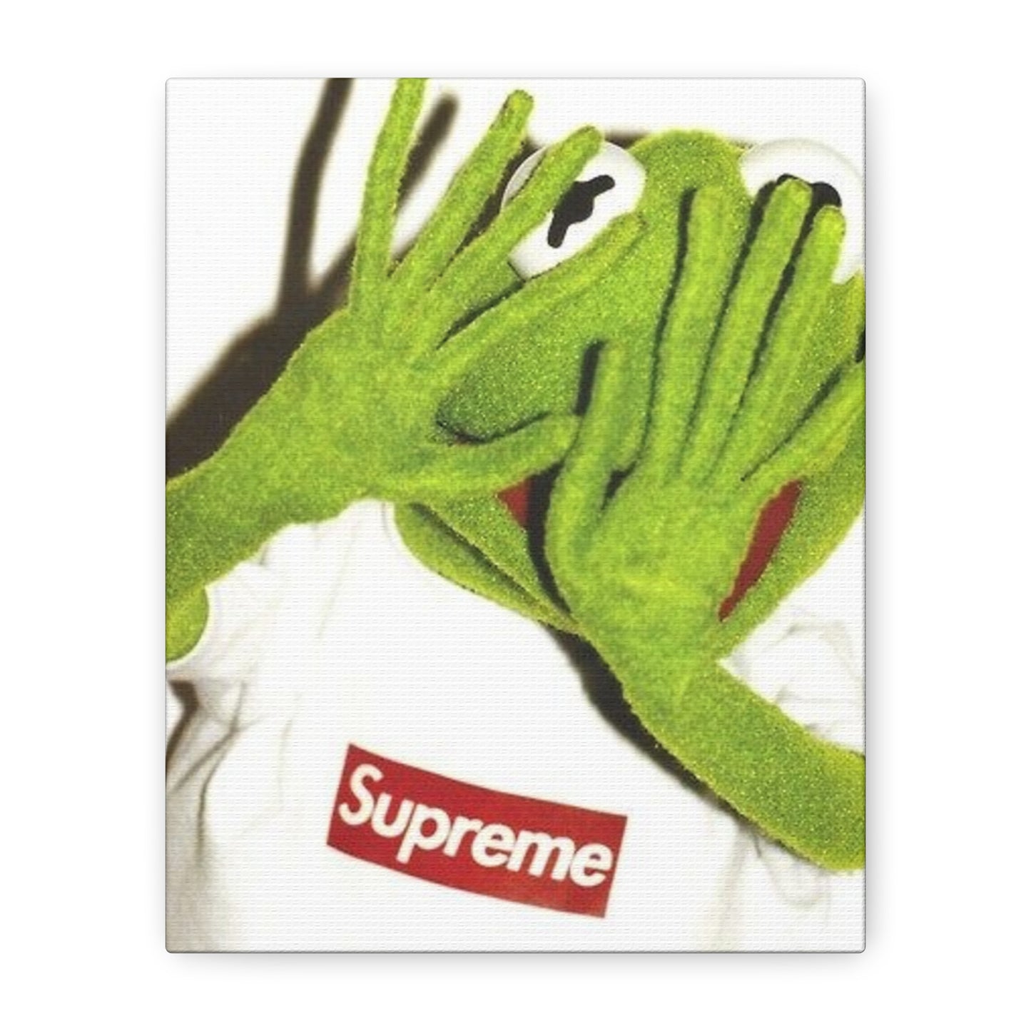 KERMIT CANVAS