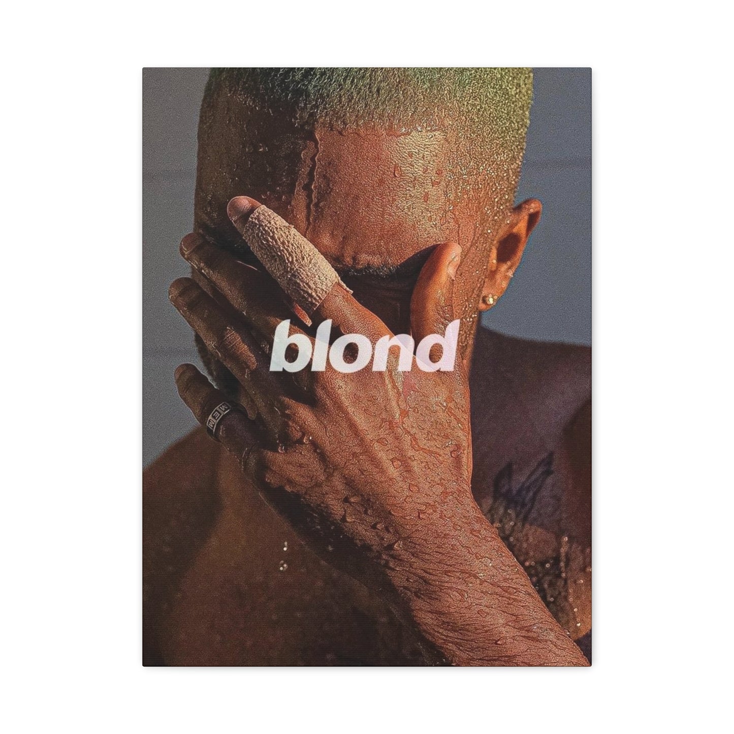 BLOND CANVAS
