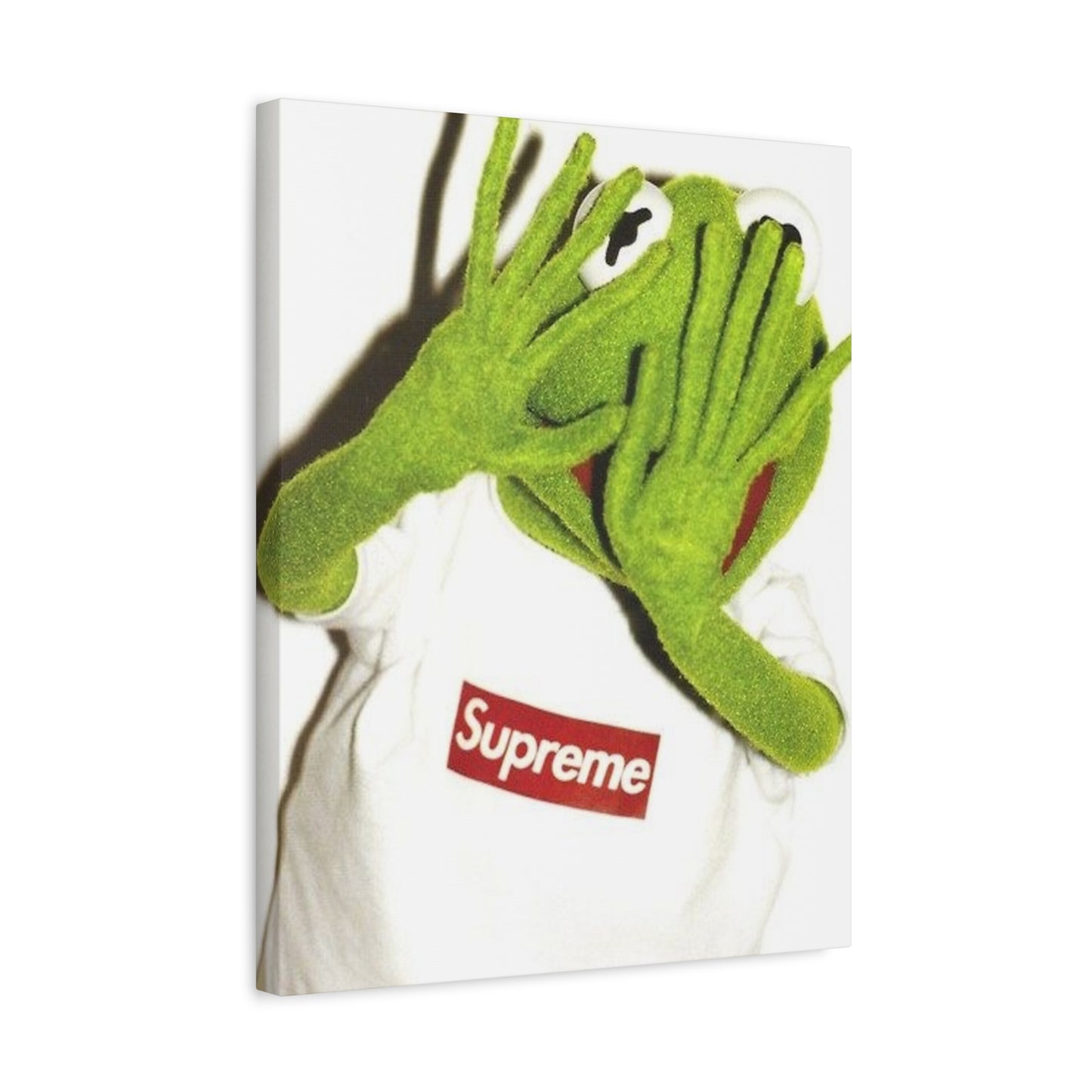 KERMIT CANVAS