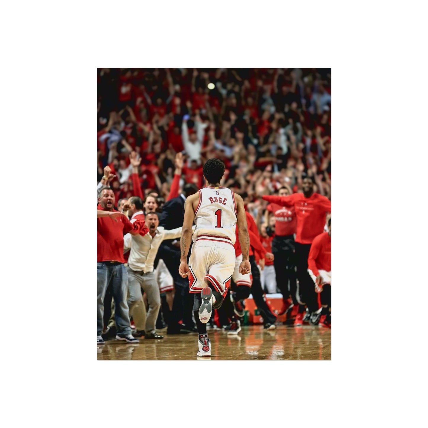 D ROSE POSTER