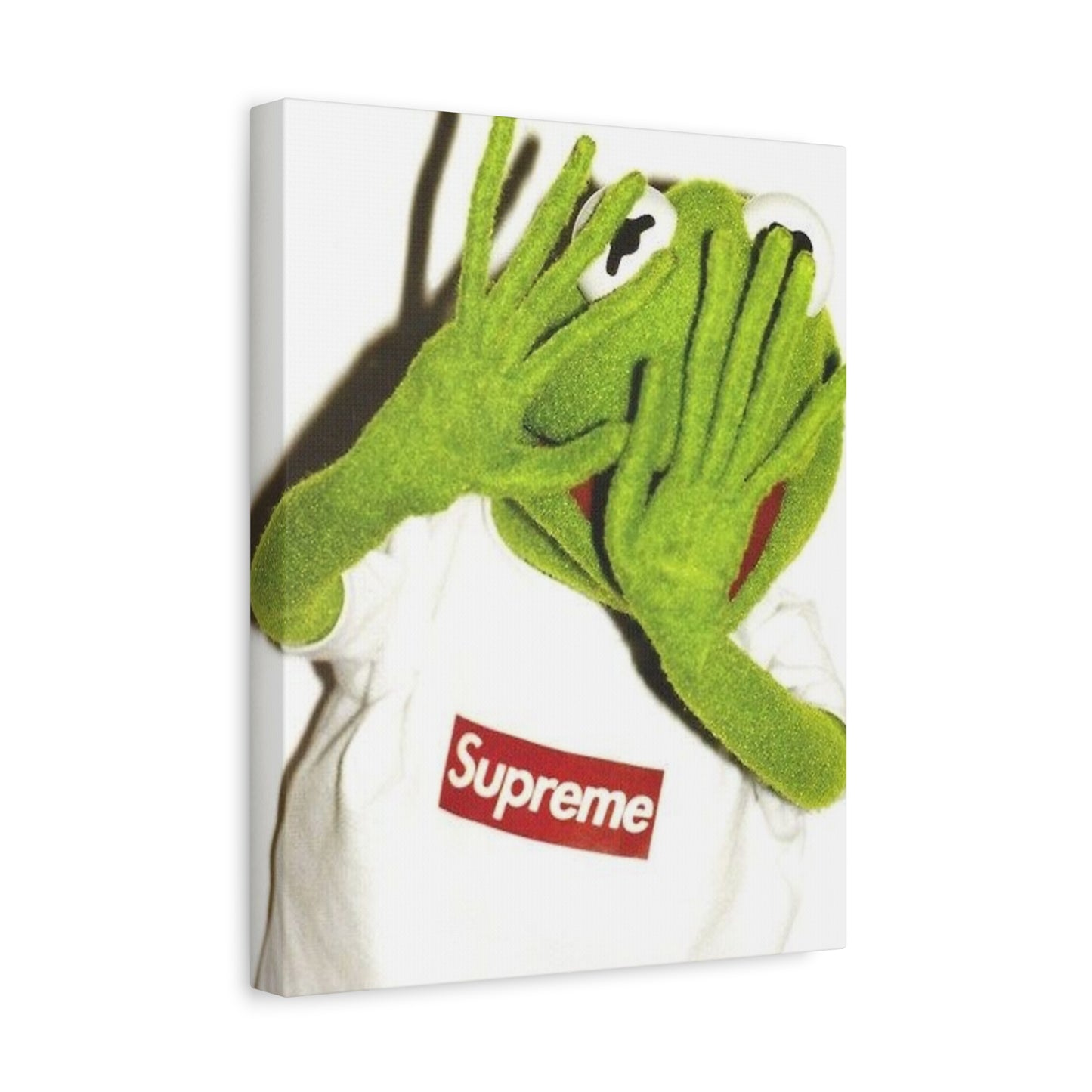 KERMIT CANVAS