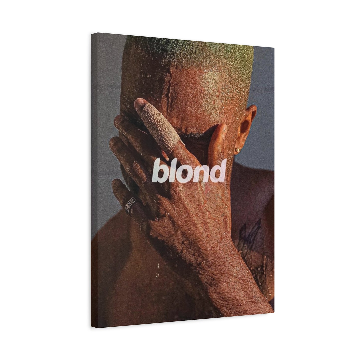 BLOND CANVAS