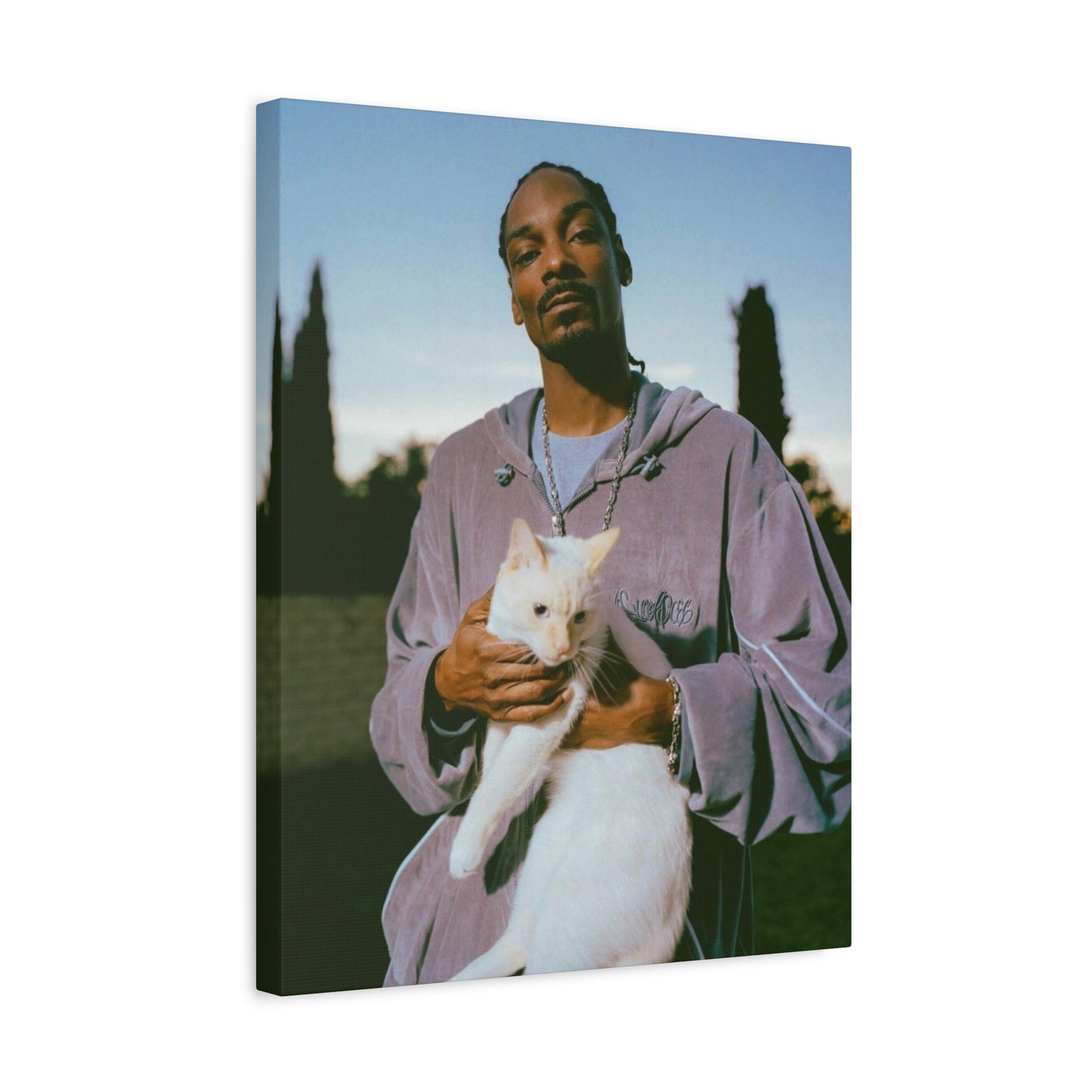 SNOOP CANVAS