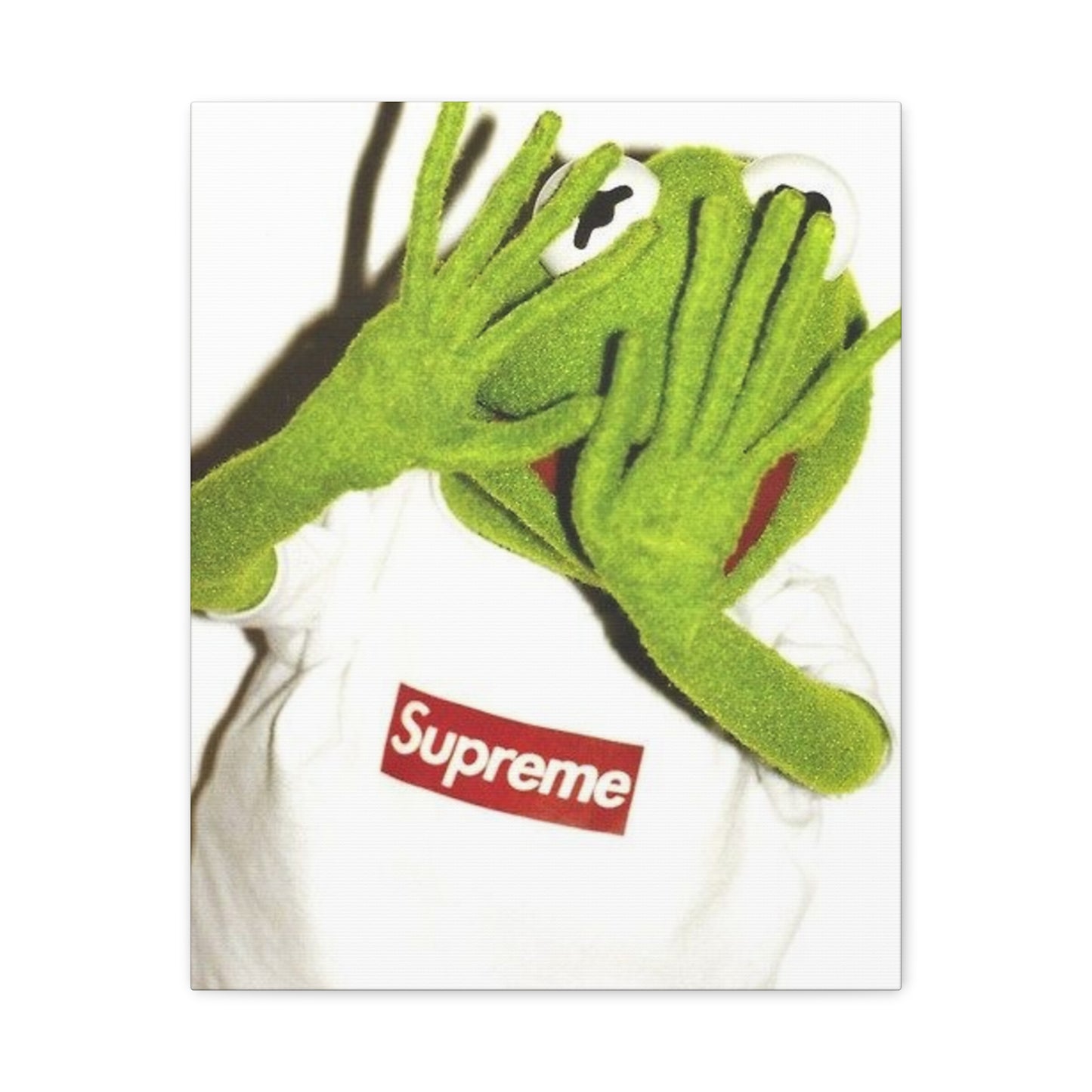 KERMIT CANVAS