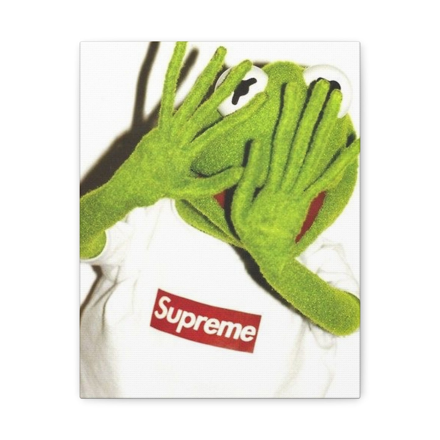 KERMIT CANVAS