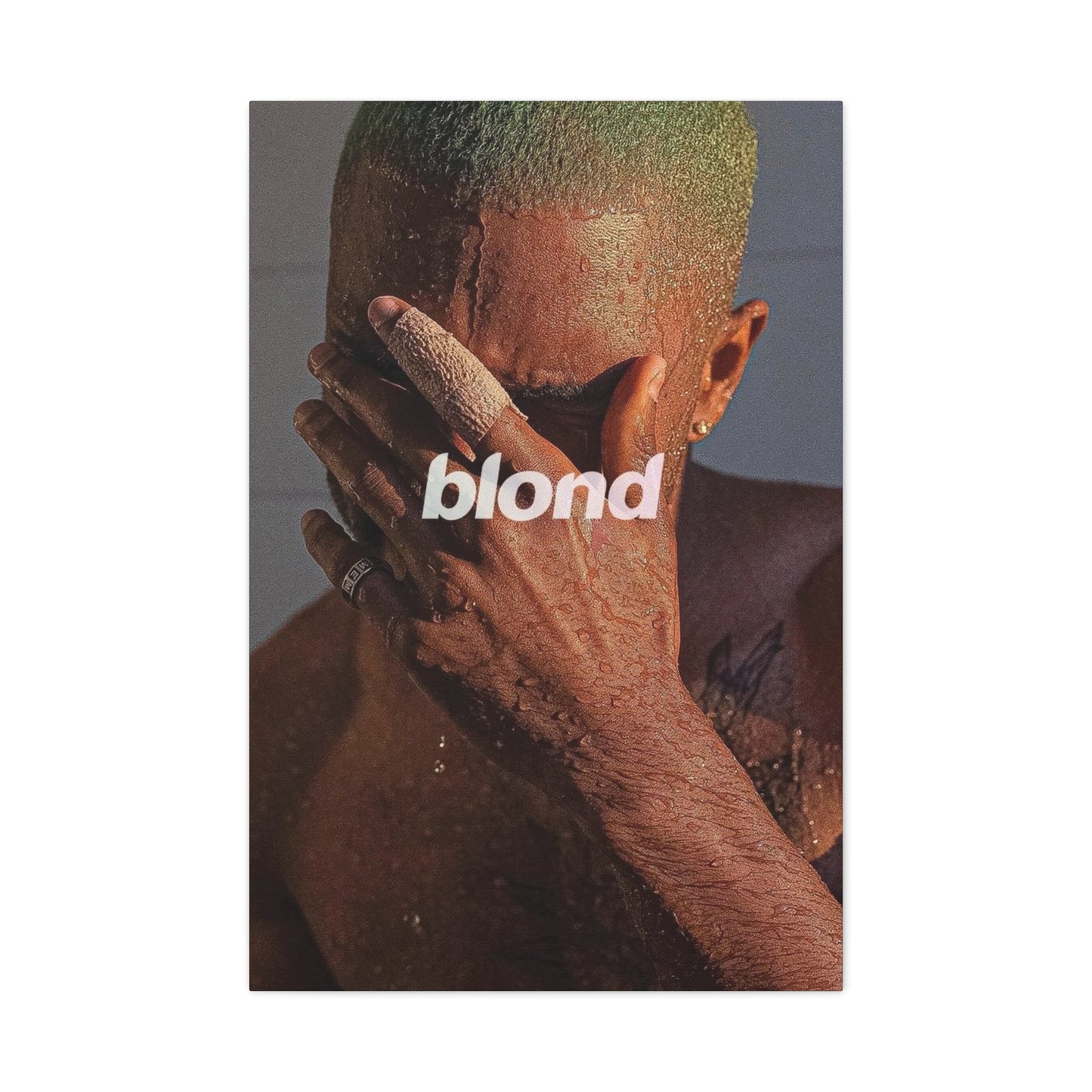 BLOND CANVAS