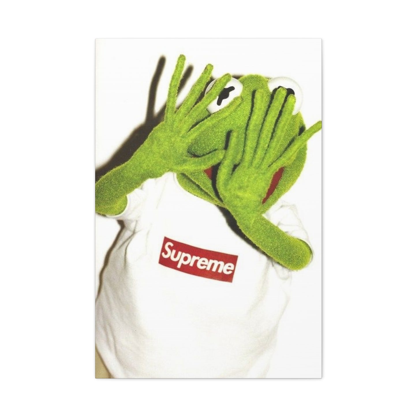 KERMIT CANVAS