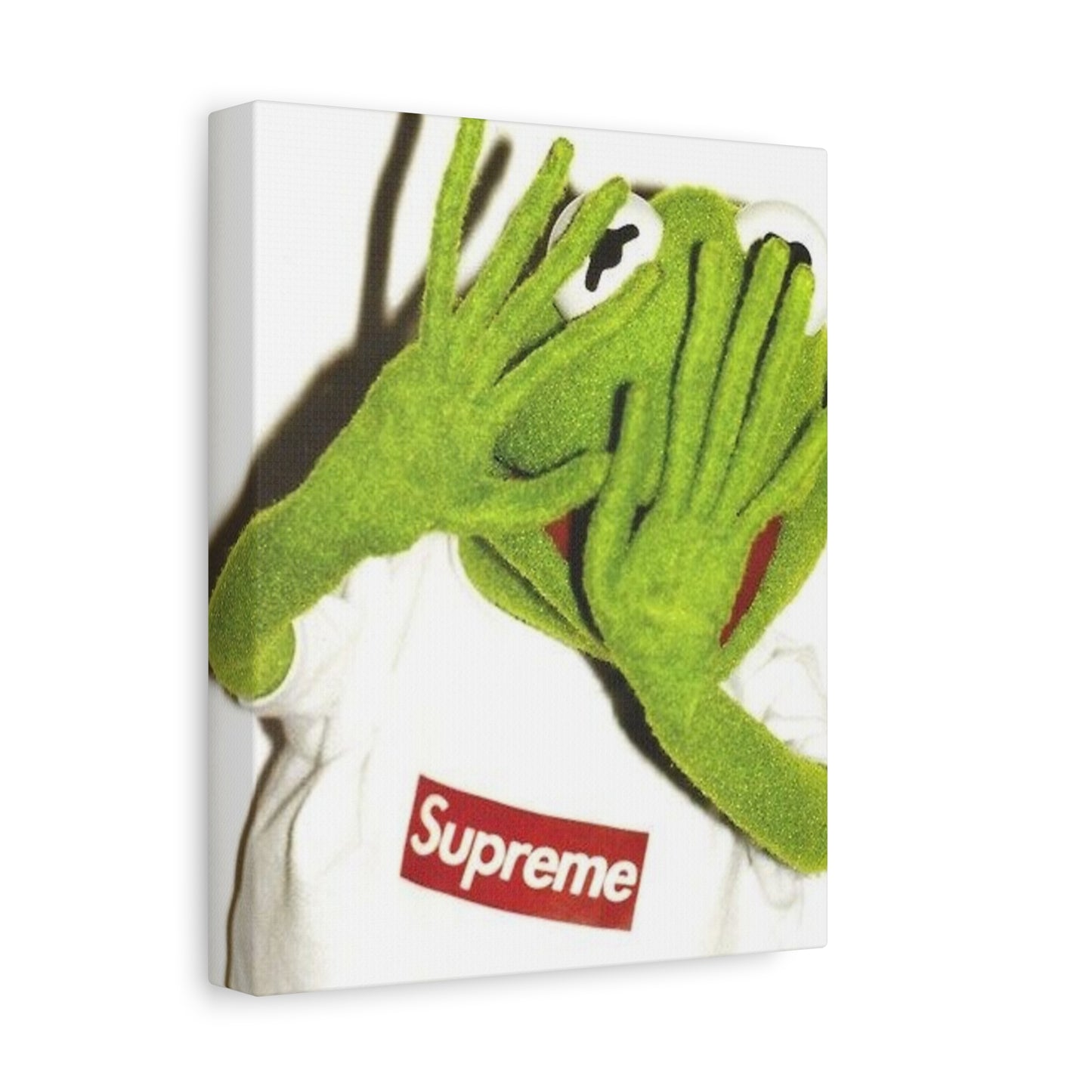 KERMIT CANVAS