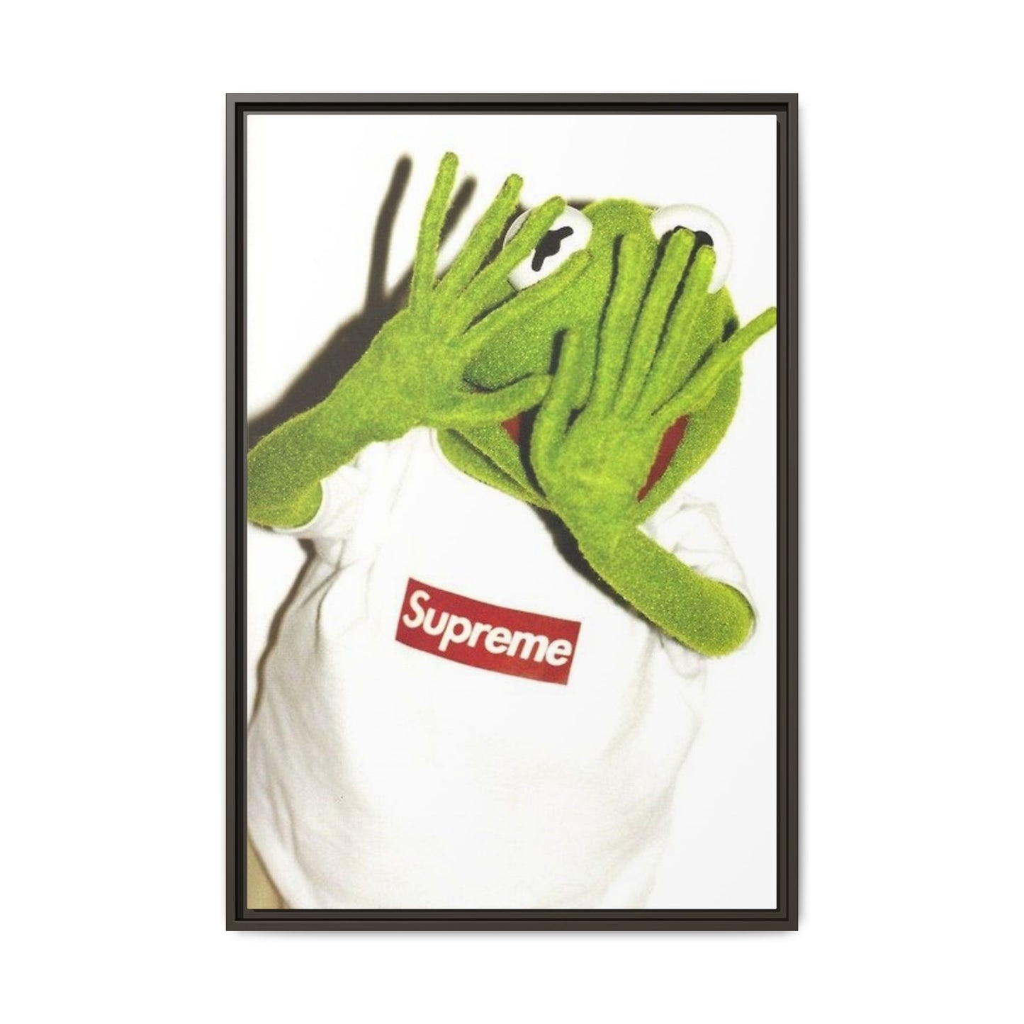 KERMIT CANVAS WITH FRAME