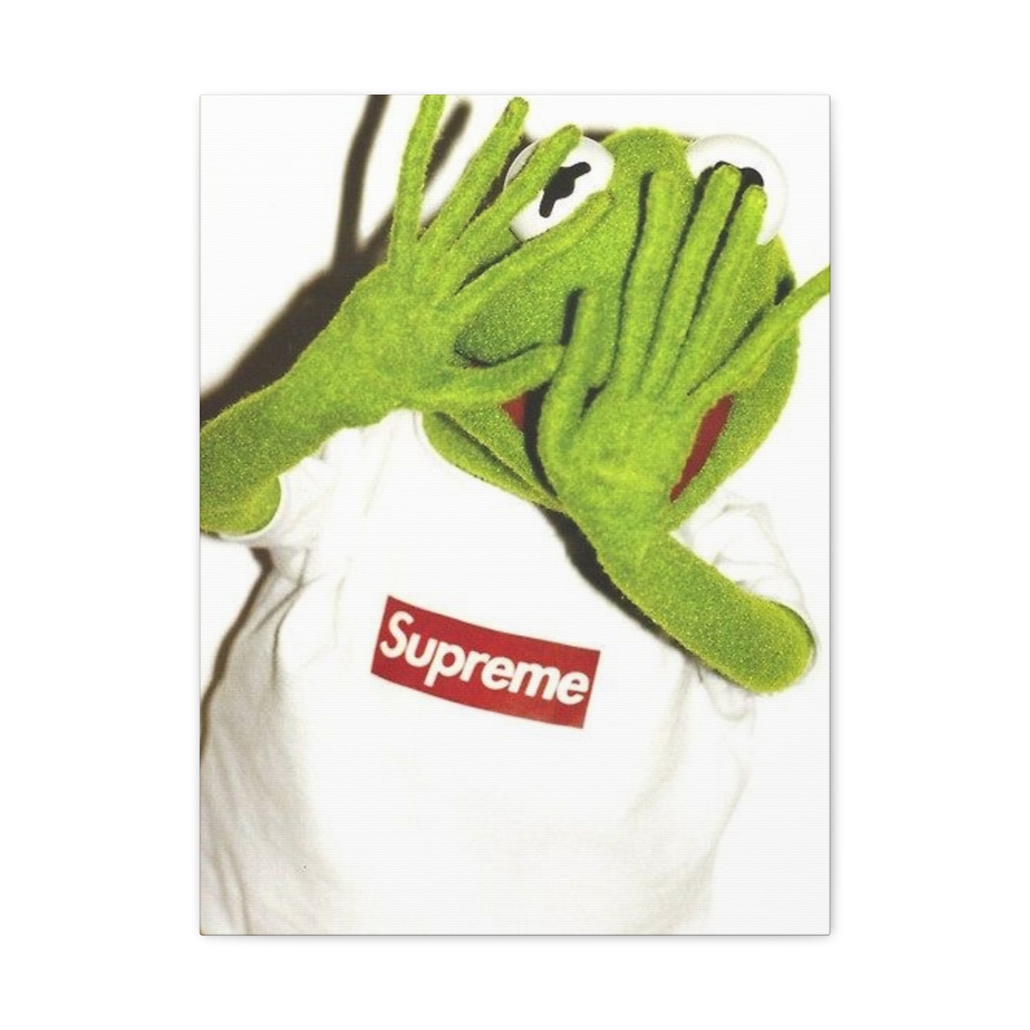 KERMIT CANVAS
