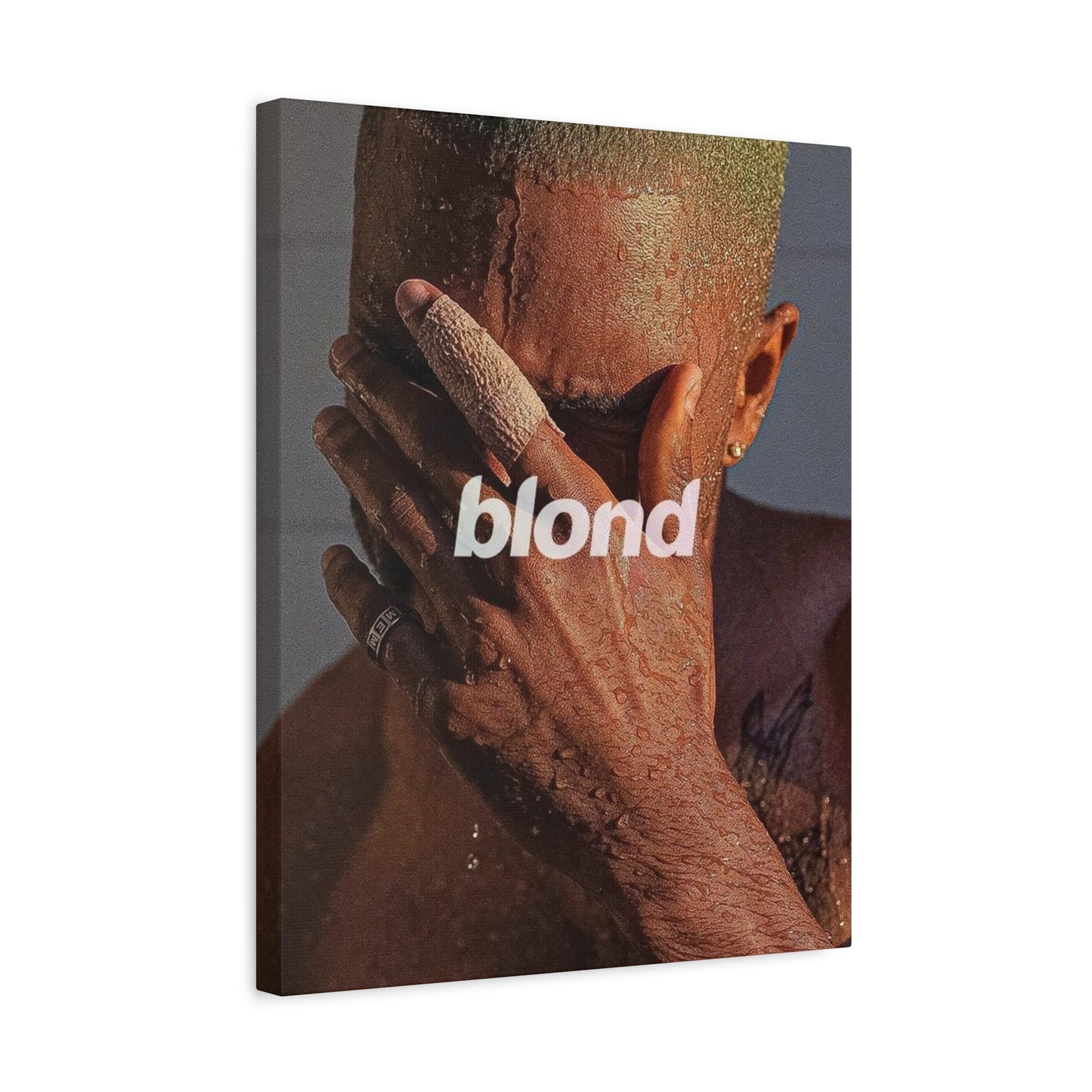 BLOND CANVAS
