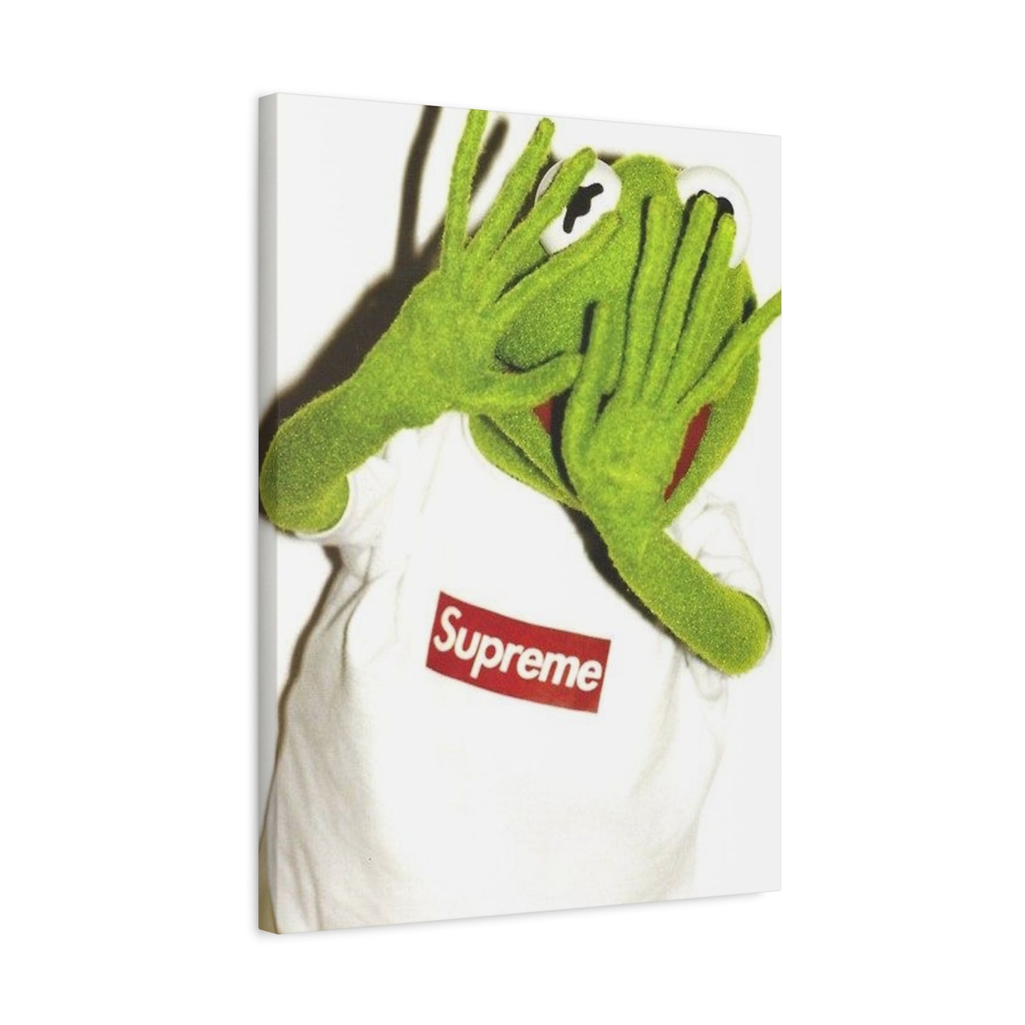 KERMIT CANVAS