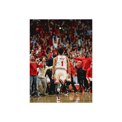 D ROSE POSTER