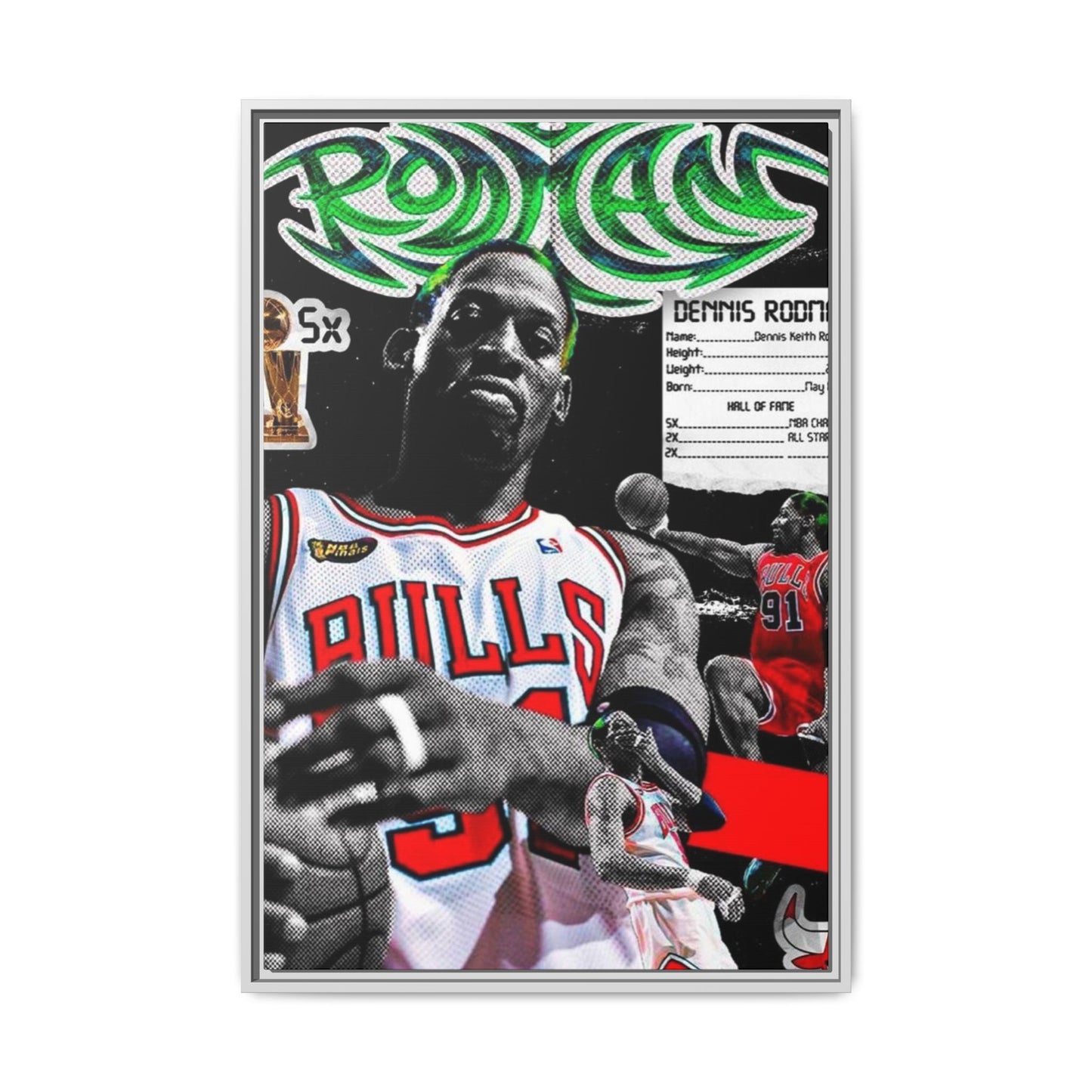 RODMAN CANVAS WITH FRAME