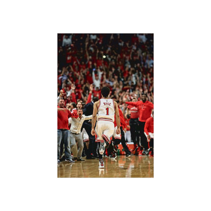 D ROSE POSTER