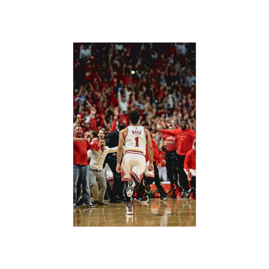 D ROSE POSTER