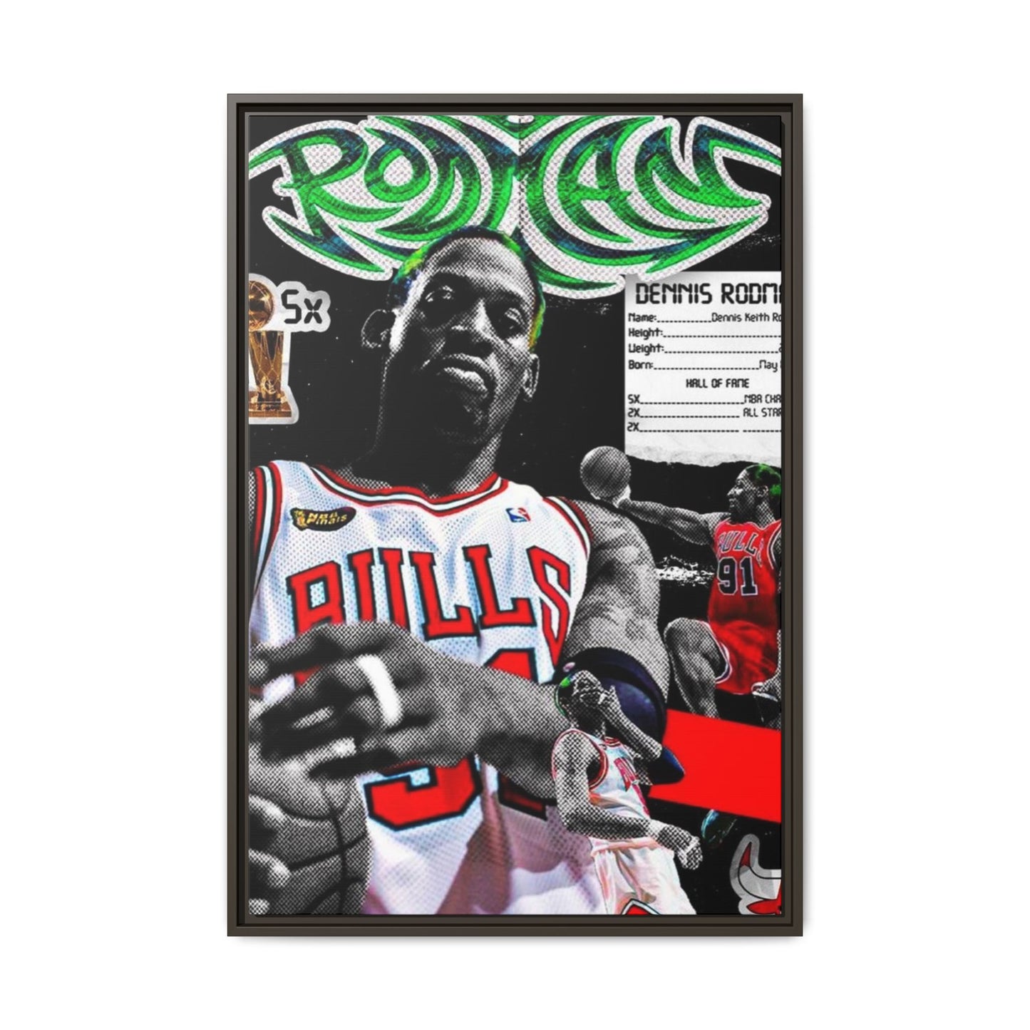 RODMAN CANVAS WITH FRAME