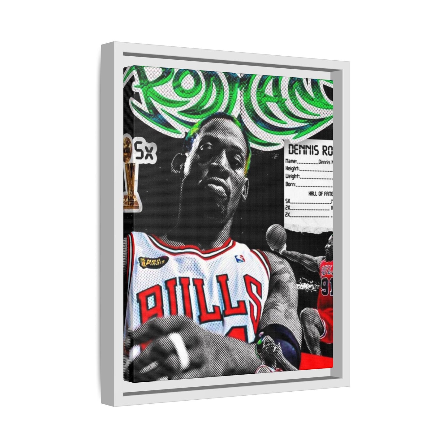 RODMAN CANVAS WITH FRAME