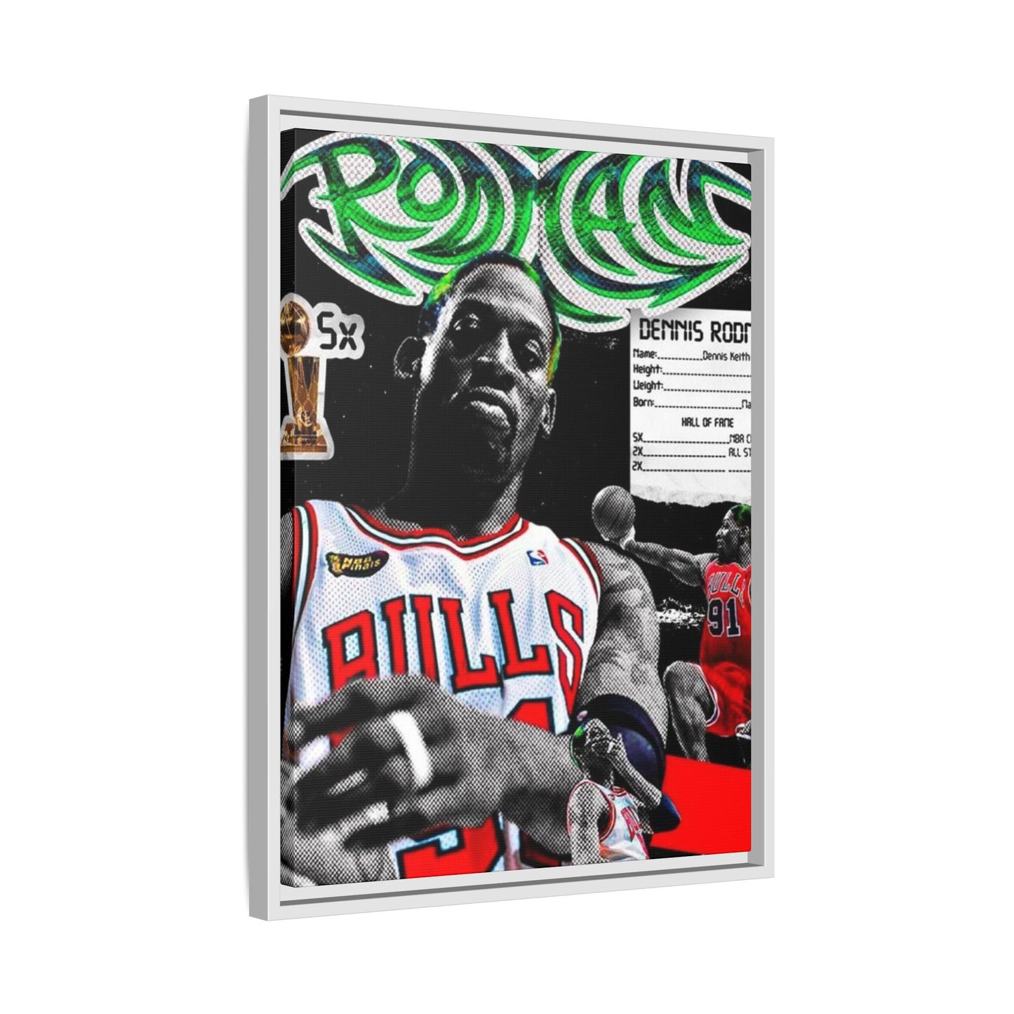 RODMAN CANVAS WITH FRAME