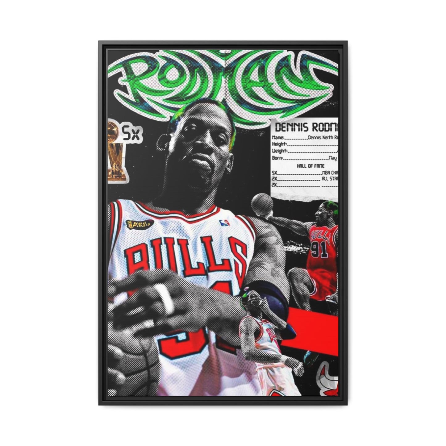 RODMAN CANVAS WITH FRAME
